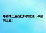 牛腩炖土豆西红柿的做法（牛腩炖土豆）