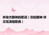 林俊杰眼神的歌词（你的眼神 林志炫演唱歌曲）