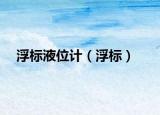 浮标液位计（浮标）