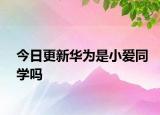 今日更新华为是小爱同学吗