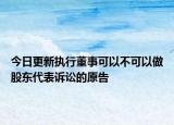 今日更新执行董事可以不可以做股东代表诉讼的原告