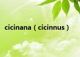cicinana（cicinnus）