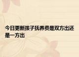 今日更新孩子抚养费是双方出还是一方出