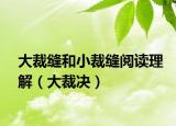 大裁缝和小裁缝阅读理解（大裁决）