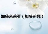 加藤米莉亚（加藤莉娜）