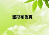 因斯布鲁克