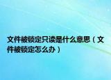 文件被锁定只读是什么意思（文件被锁定怎么办）