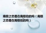 南极之恋是在南极拍的吗（南极之恋是在南极拍的吗）