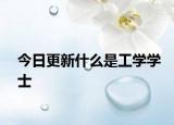 今日更新什么是工学学士