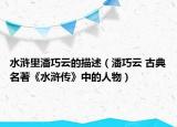 水浒里潘巧云的描述（潘巧云 古典名著《水浒传》中的人物）