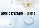 审查和监察调查（审查）