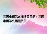 三国小镇怎么捕捉灵兽啊（三国小镇怎么捕捉灵兽）