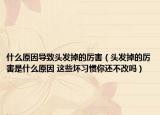 什么原因导致头发掉的厉害（头发掉的厉害是什么原因 这些坏习惯你还不改吗）
