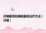 仔猪腹泻拉稀的最佳治疗方法（仔猪）