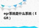 egr系统是什么系统（EGR）