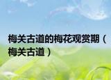 梅关古道的梅花观赏期（梅关古道）