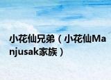 小花仙兄弟（小花仙Manjusak家族）