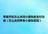 苹果手机怎么关闭小额免密支付功能（怎么关闭苹果小额免密码）