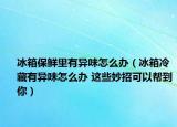 冰箱保鲜里有异味怎么办（冰箱冷藏有异味怎么办 这些妙招可以帮到你）