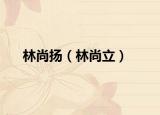 林尚扬（林尚立）