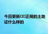 今日更新﻿﻿正规的土地证什么样的