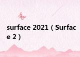 surface 2021（Surface 2）