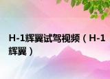 H-1辉翼试驾视频（H-1辉翼）