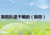 联防队是干嘛的（联防）