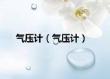 气压计（气压计）
