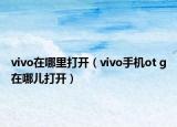 vivo在哪里打开（vivo手机ot g在哪儿打开）