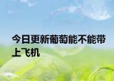 今日更新葡萄能不能带上飞机