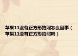 苹果11没有正方形拍照怎么回事（苹果11没有正方形拍照吗）