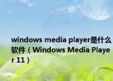 windows media player是什么软件（Windows Media Player 11）