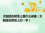 太阳挂在树顶上是什么谜语（太阳挂在树顶上打一字）