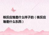 核反应堆是什么样子的（核反应堆是什么东西）