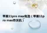苹果11pro max电池（苹果11pro max咋关机）