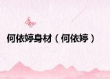 何依婷身材（何依婷）