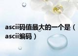 ascii码值最大的一个是（ascii编码）