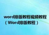 word排版教程视频教程（Word排版教程）