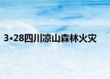 3·28四川凉山森林火灾