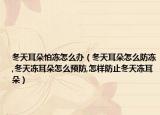 冬天耳朵怕冻怎么办（冬天耳朵怎么防冻,冬天冻耳朵怎么预防,怎样防止冬天冻耳朵）