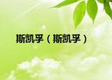 斯凯孚（斯凯孚）