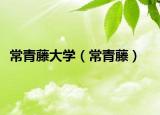 常青藤大学（常青藤）