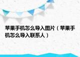 苹果手机怎么导入图片（苹果手机怎么导入联系人）