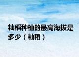 籼稻种植的最高海拔是多少（籼稻）