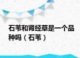 石苇和肾经草是一个品种吗（石苇）