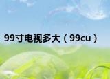 99寸电视多大（99cu）