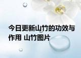 今日更新山竹的功效与作用 山竹图片