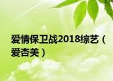 爱情保卫战2018综艺（爱杏美）