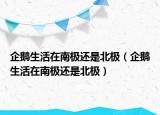 企鹅生活在南极还是北极（企鹅生活在南极还是北极）
